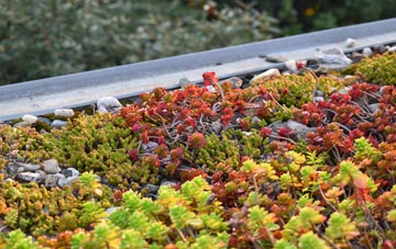 the cost of Kentisbury green roof installation