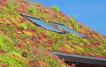 Kentisbury living roof systems